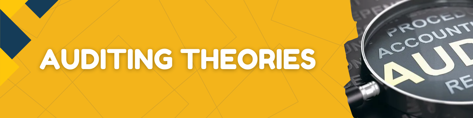 Auditing Theories